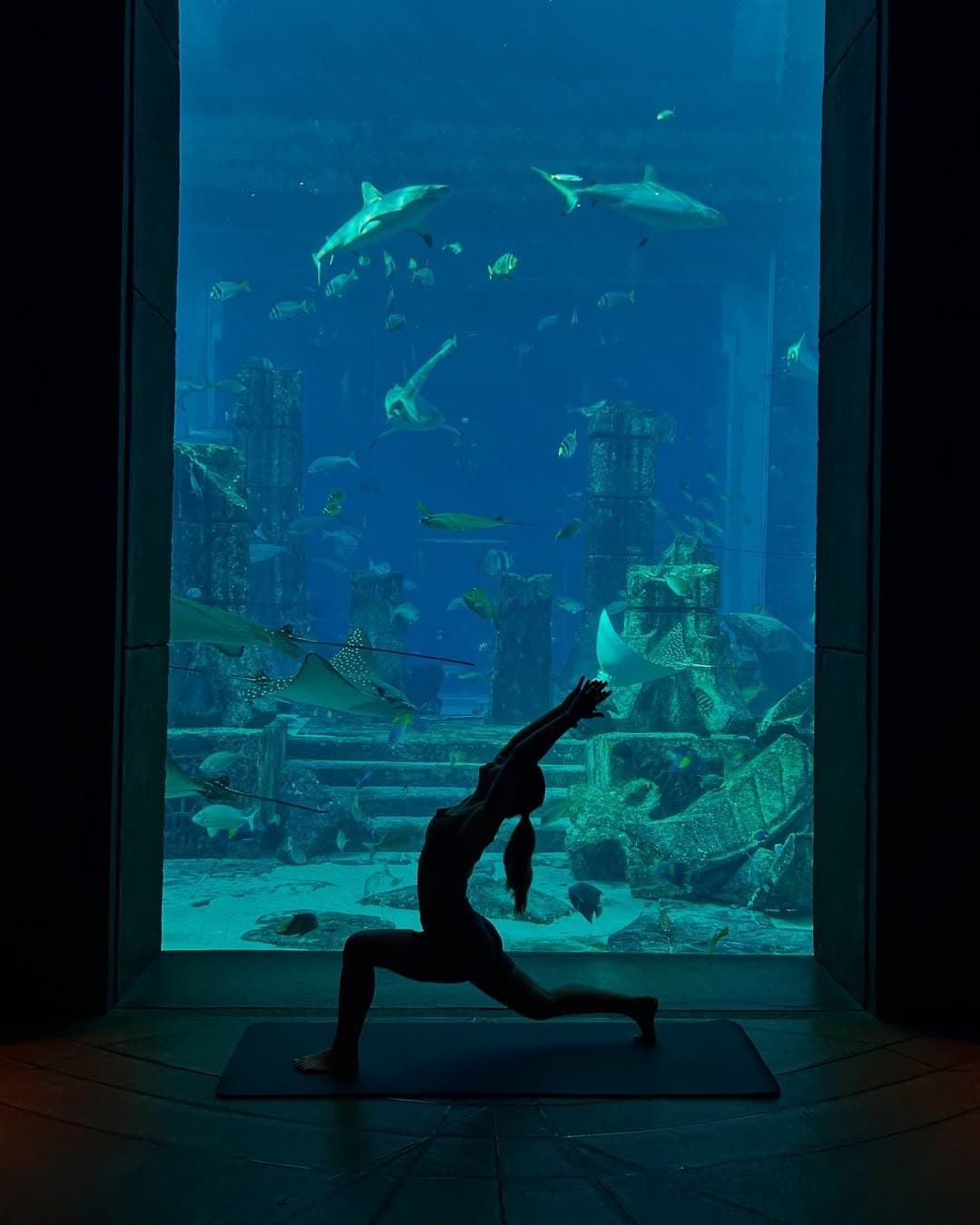 Luisa Schoele in Warrior Pose vor einem riesigen Aquarium